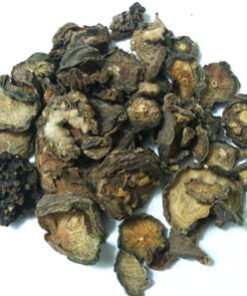 Boutons de Peyote – Acheter Lophophora williamsii Séché