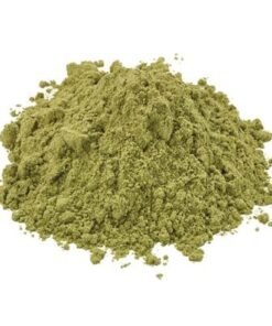 Acheter Cactus San Pedro – Echinopsis pachanoi